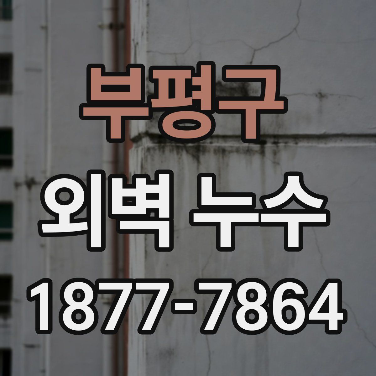 부평구 외벽 누수