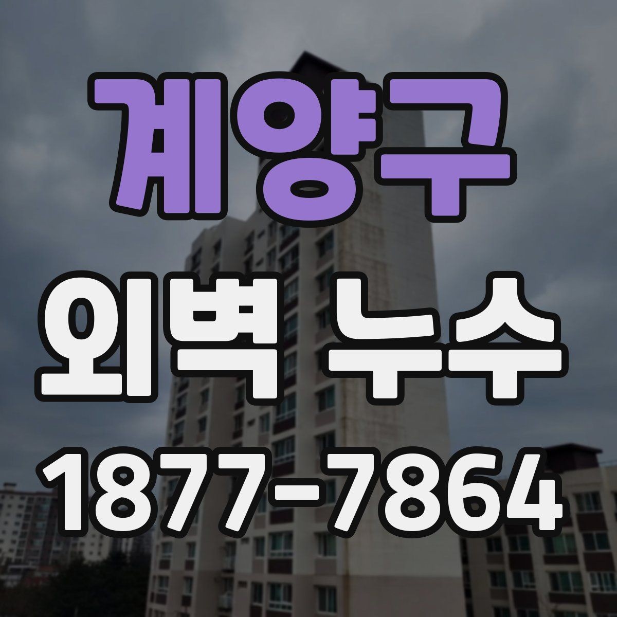 계양구 외벽 누수 발생 시 점검 순서 정리