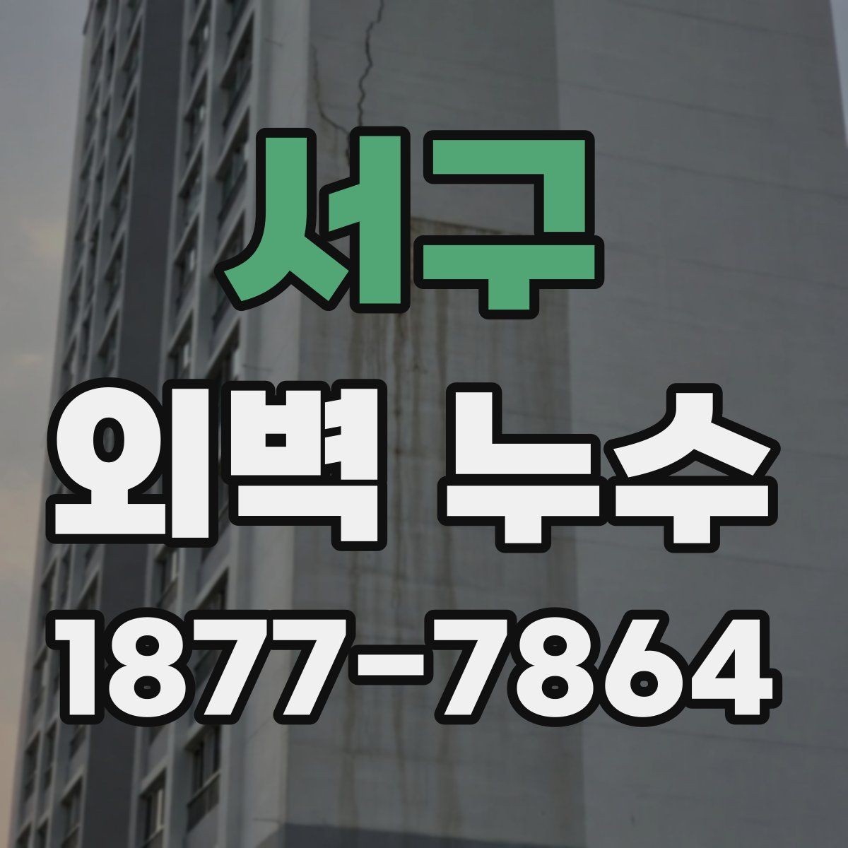 서구 외벽 누수 관리 사례로 보는 점검 습관