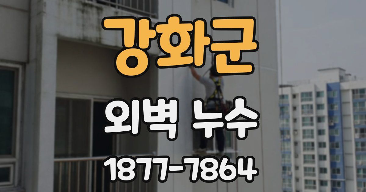 강화군 외벽 누수