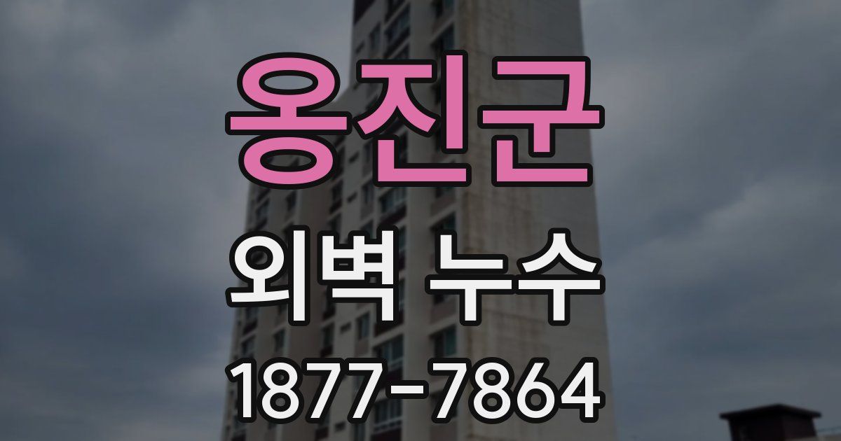옹진군 외벽 누수