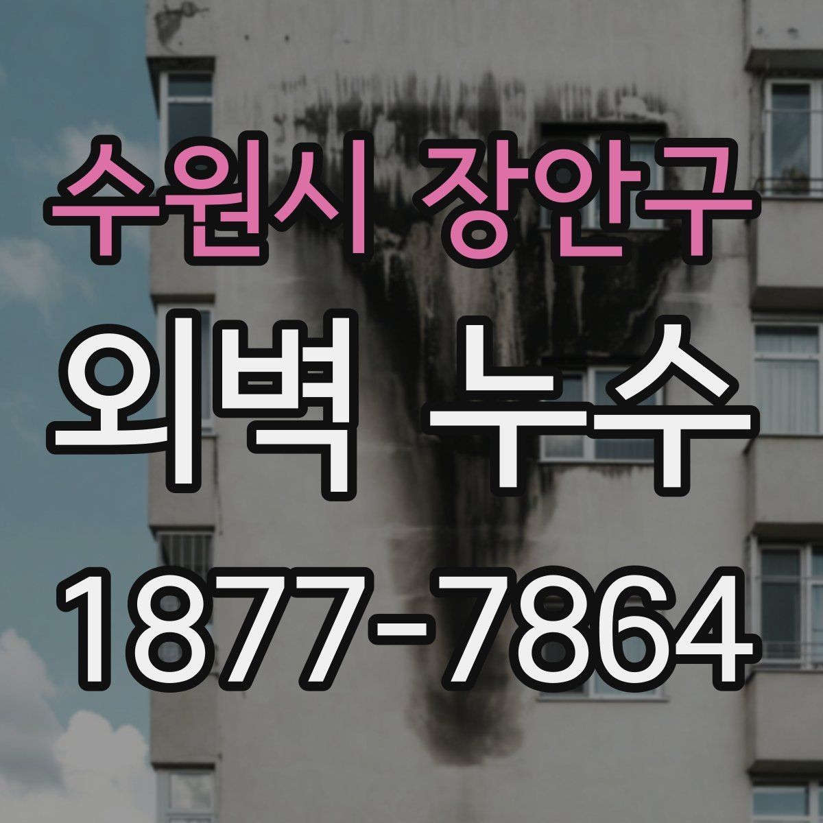 수원시 장안구 외벽 누수 발생 시 점검 순서 정리