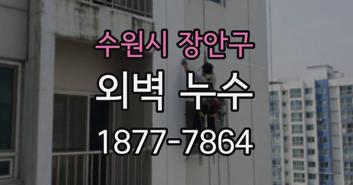 수원시 장안구 외벽 누수