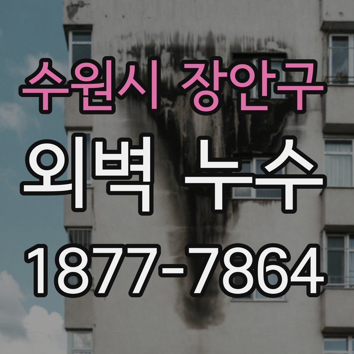 수원시 장안구 외벽 누수