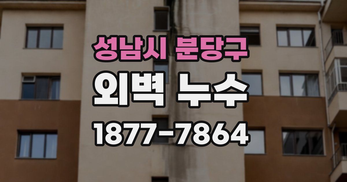 성남시 분당구 외벽 누수