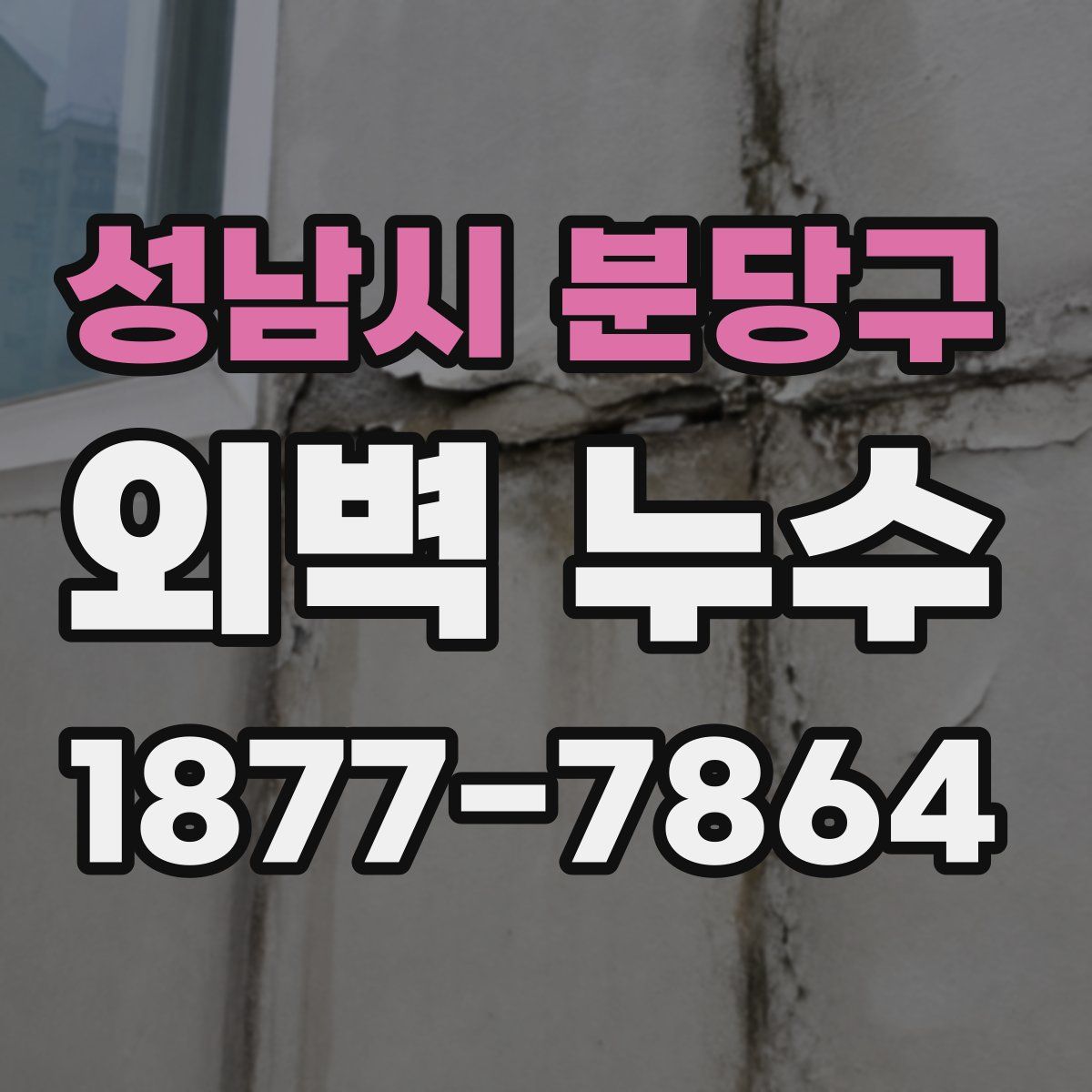성남시 분당구 외벽 누수