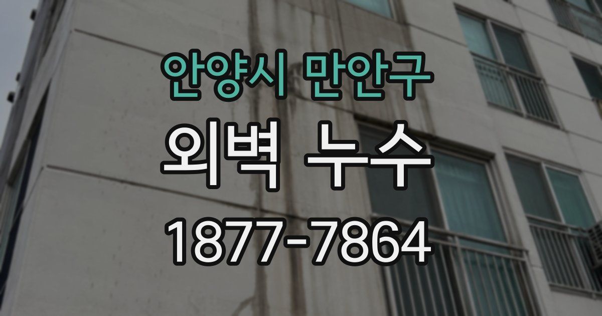 안양시 만안구 외벽 누수