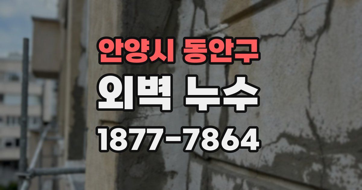 안양시 동안구 외벽 누수
