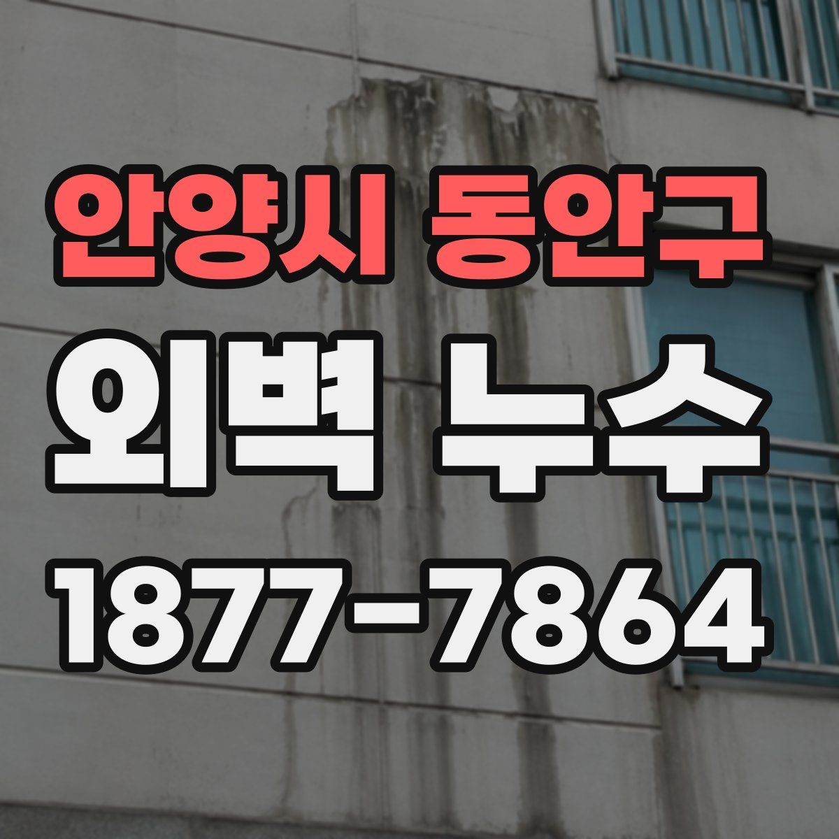 안양시 동안구 외벽 누수