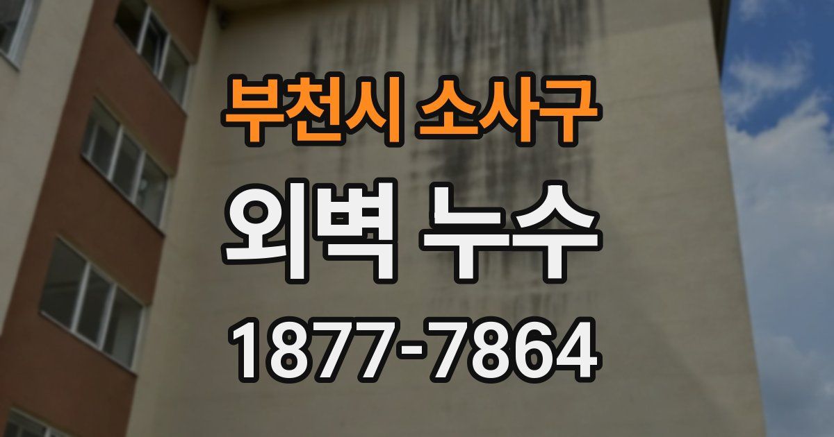 부천시 소사구 외벽 누수