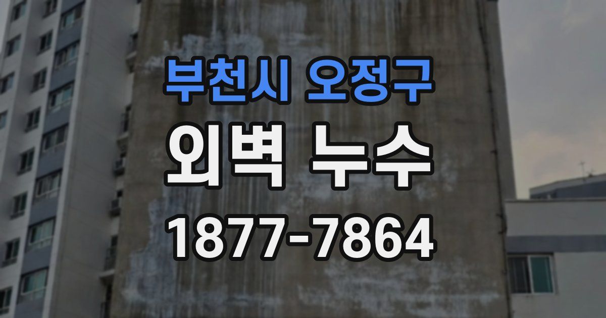 부천시 오정구 외벽 누수
