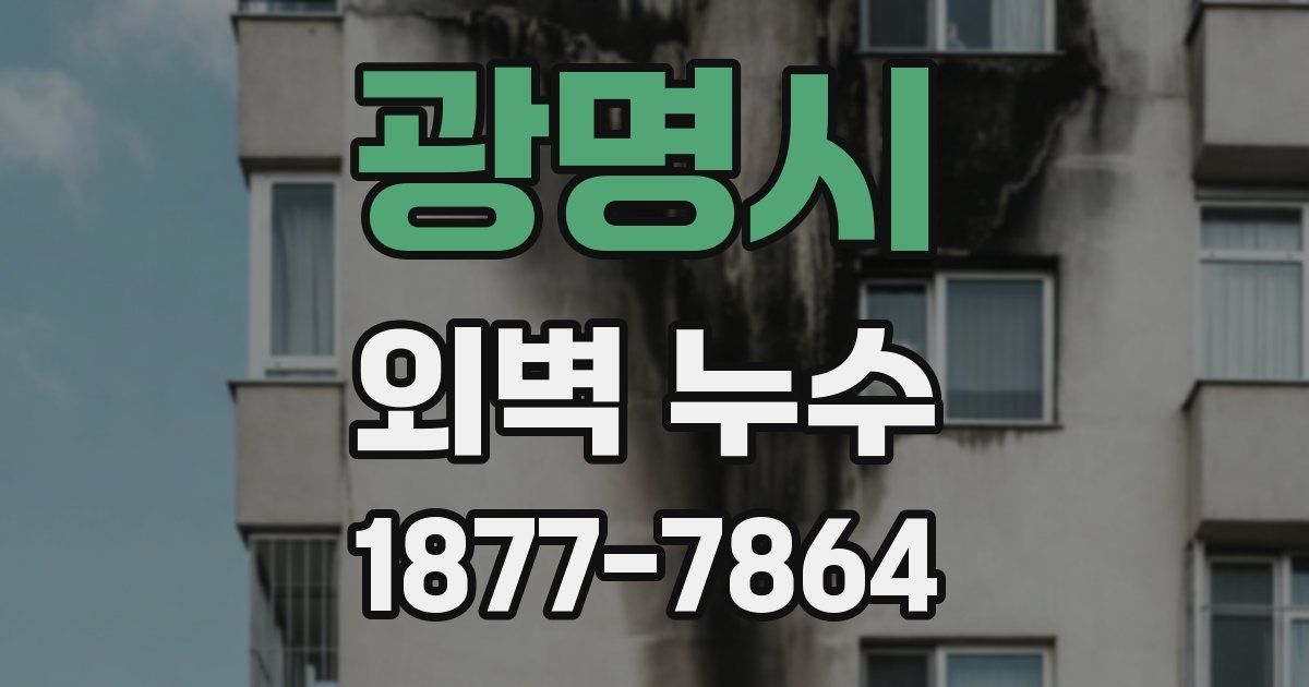 광명시 외벽 누수