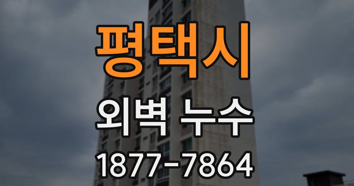 평택시 외벽 누수