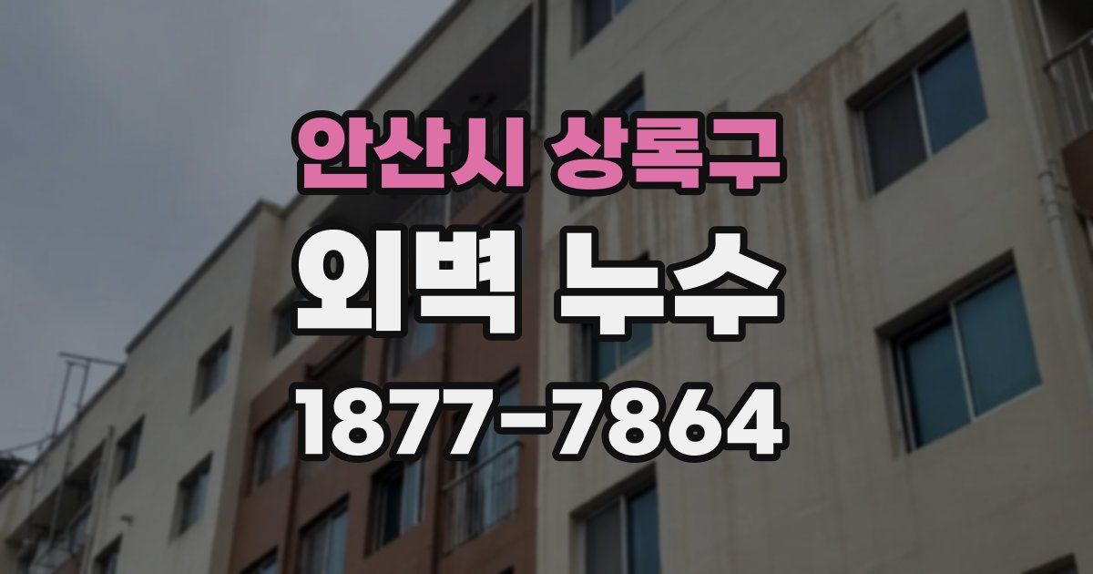 안산시 상록구 외벽 누수