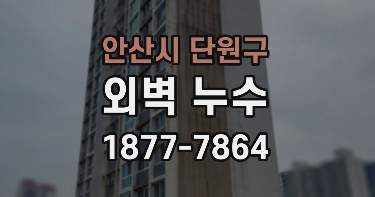 안산시 단원구 외벽 누수