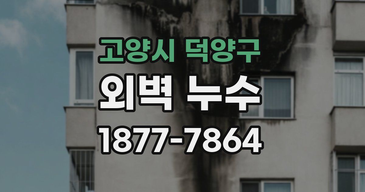 고양시 덕양구 외벽 누수