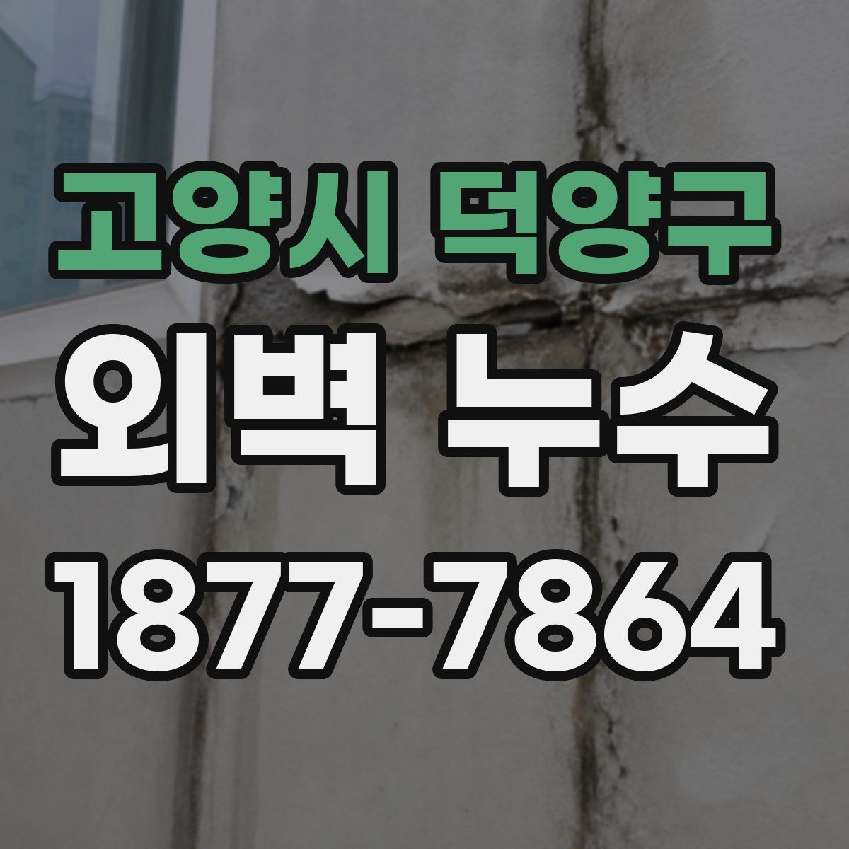 고양시 덕양구 외벽 누수
