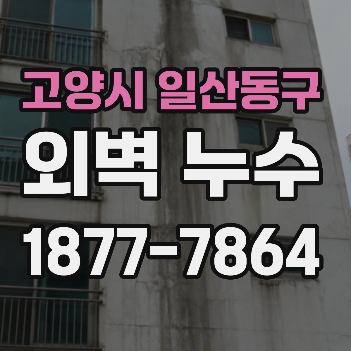 고양시 일산동구 외벽 누수