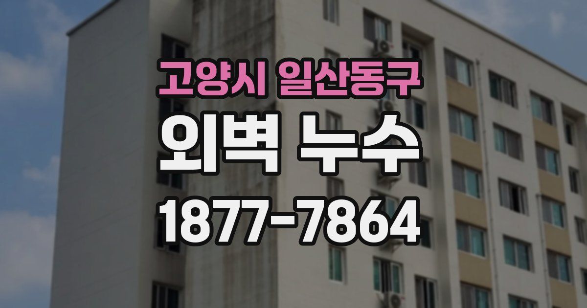 고양시 일산동구 외벽 누수