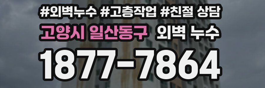 고양시 일산동구 외벽 누수
