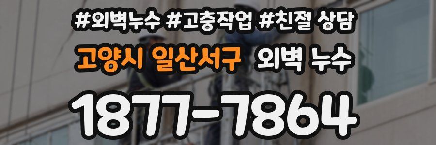고양시 일산서구 외벽 누수