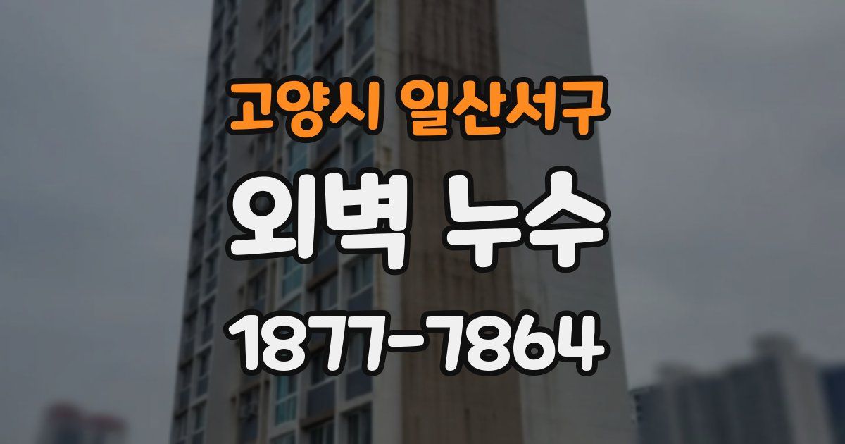 고양시 일산서구 외벽 누수