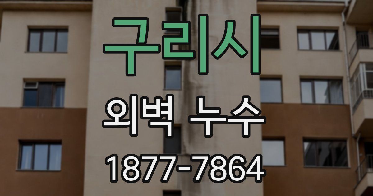 구리시 외벽 누수
