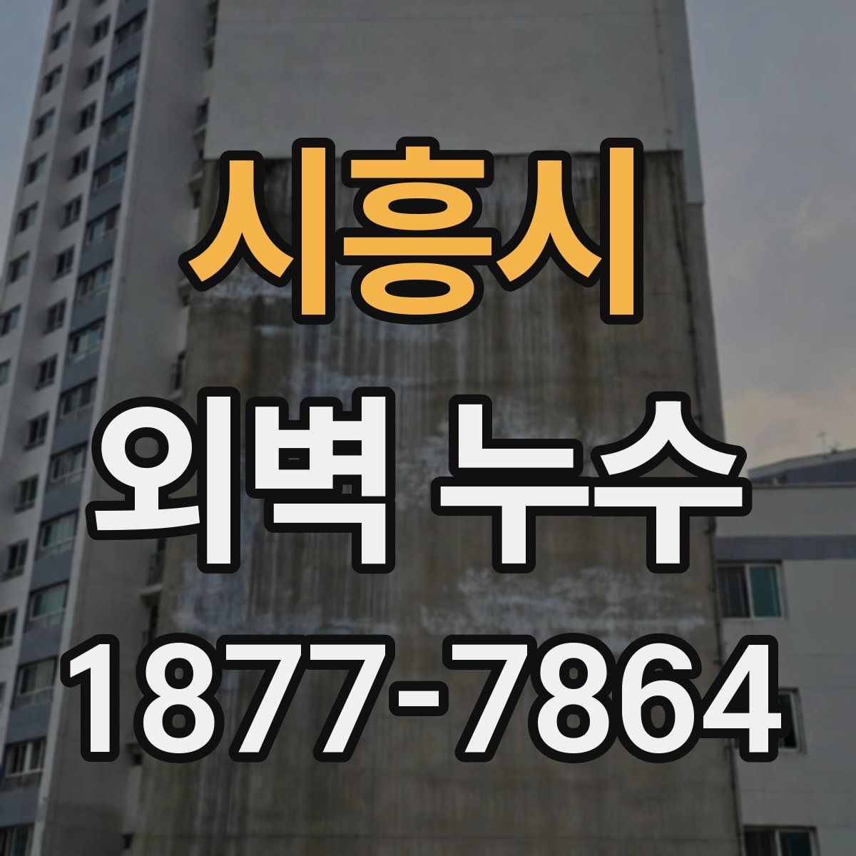 시흥시 외벽 누수
