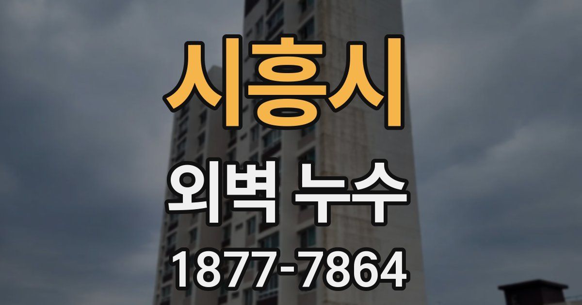 시흥시 외벽 누수