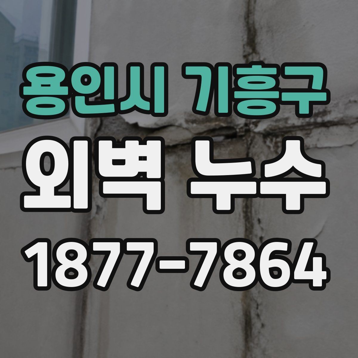 용인시 기흥구 외벽 누수 사례로 보는 주요 원인