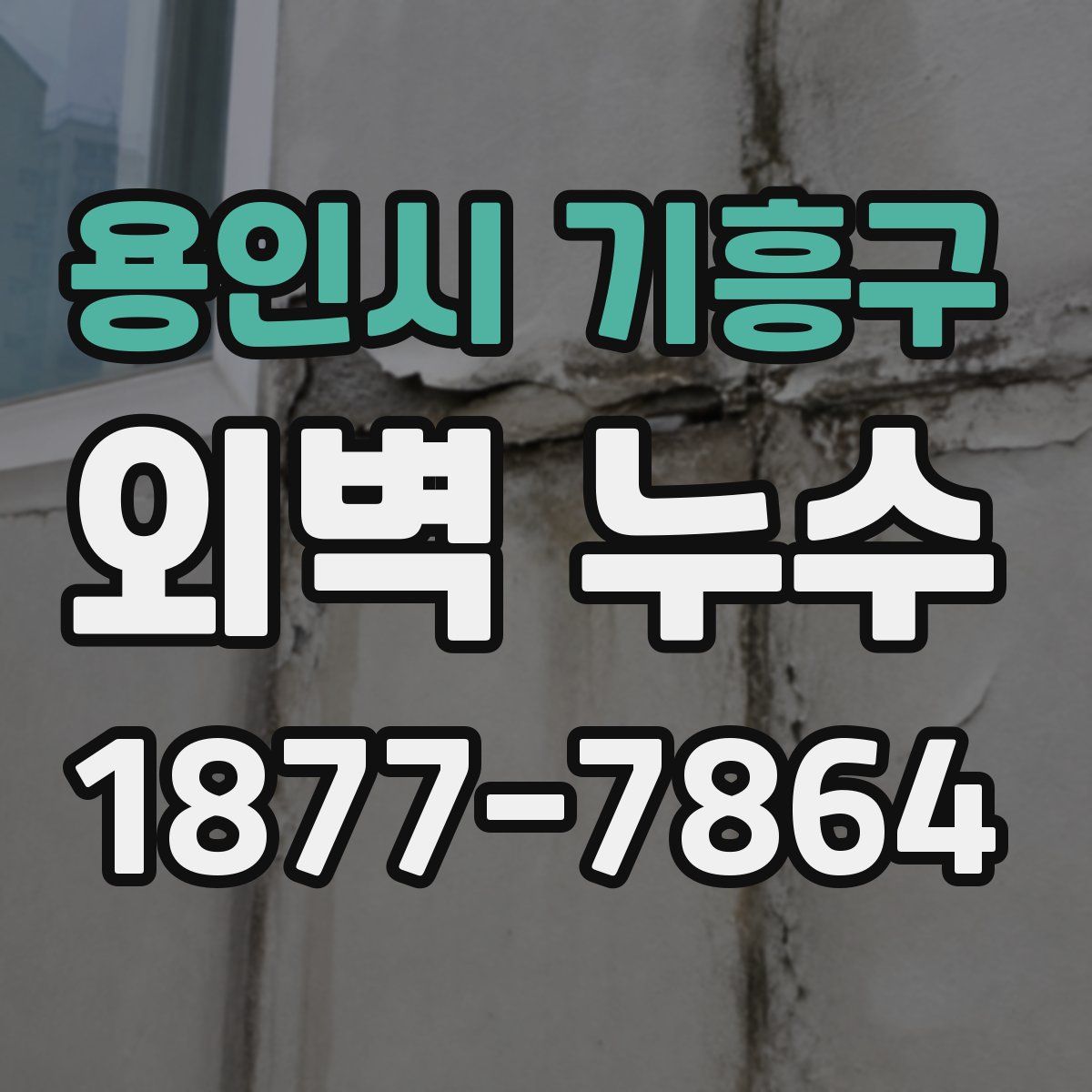 용인시 기흥구 외벽 누수