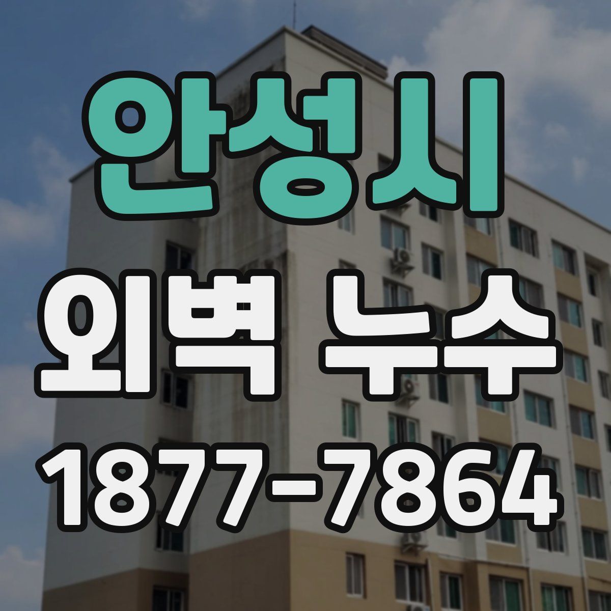 안성시 외벽 누수