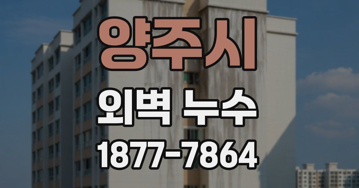 양주시 외벽 누수