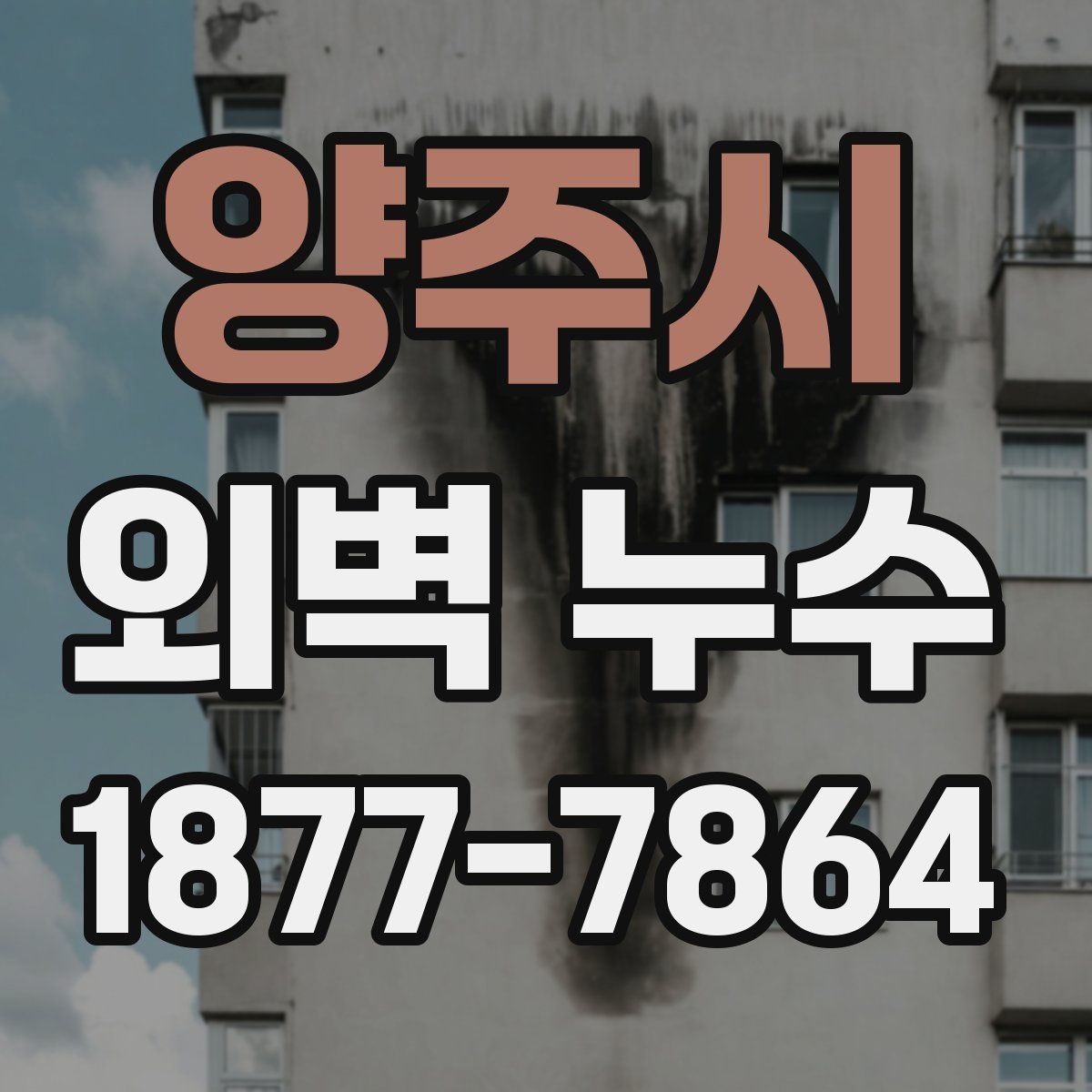 양주시 외벽 누수