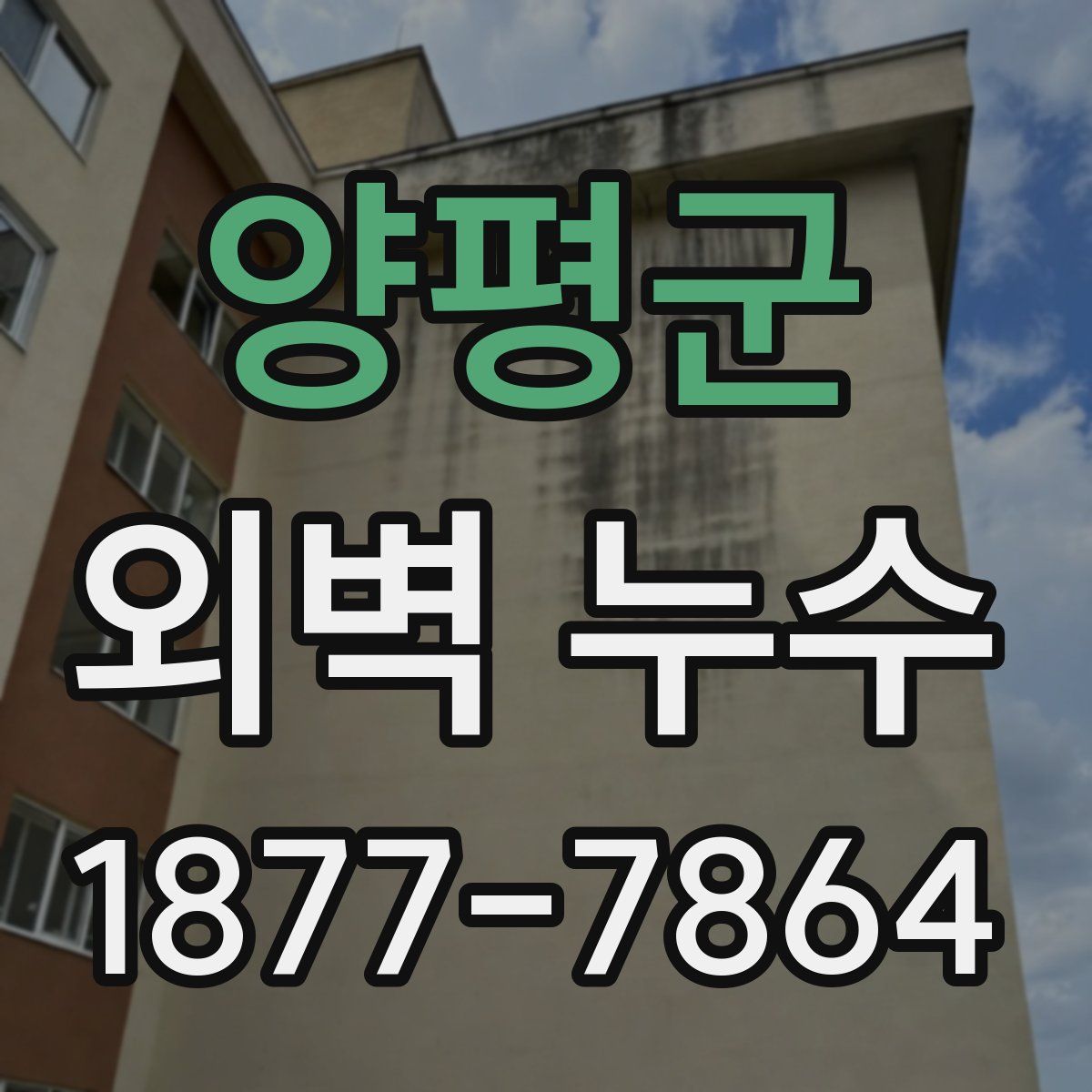 양평군 외벽 누수