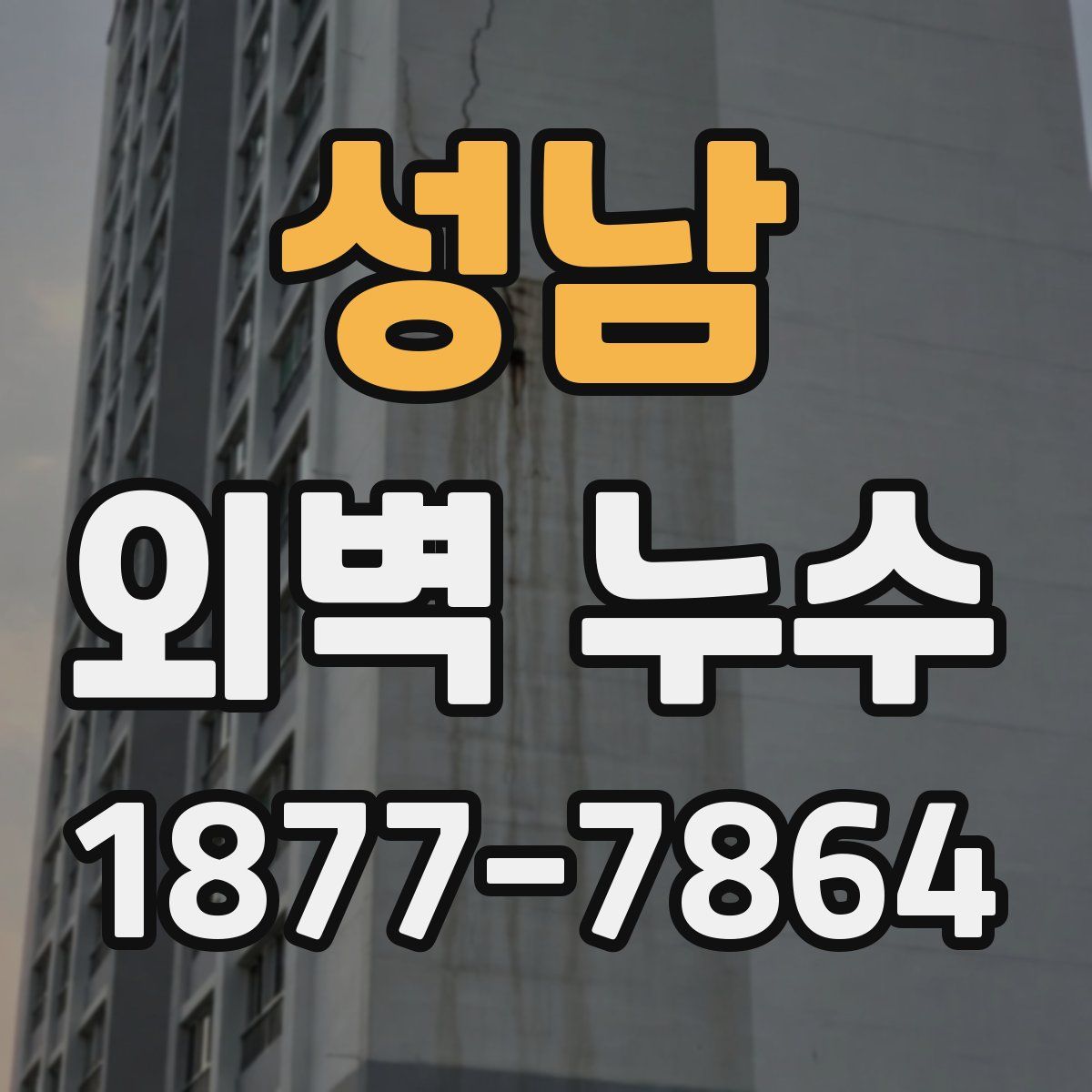 성남 외벽 누수
