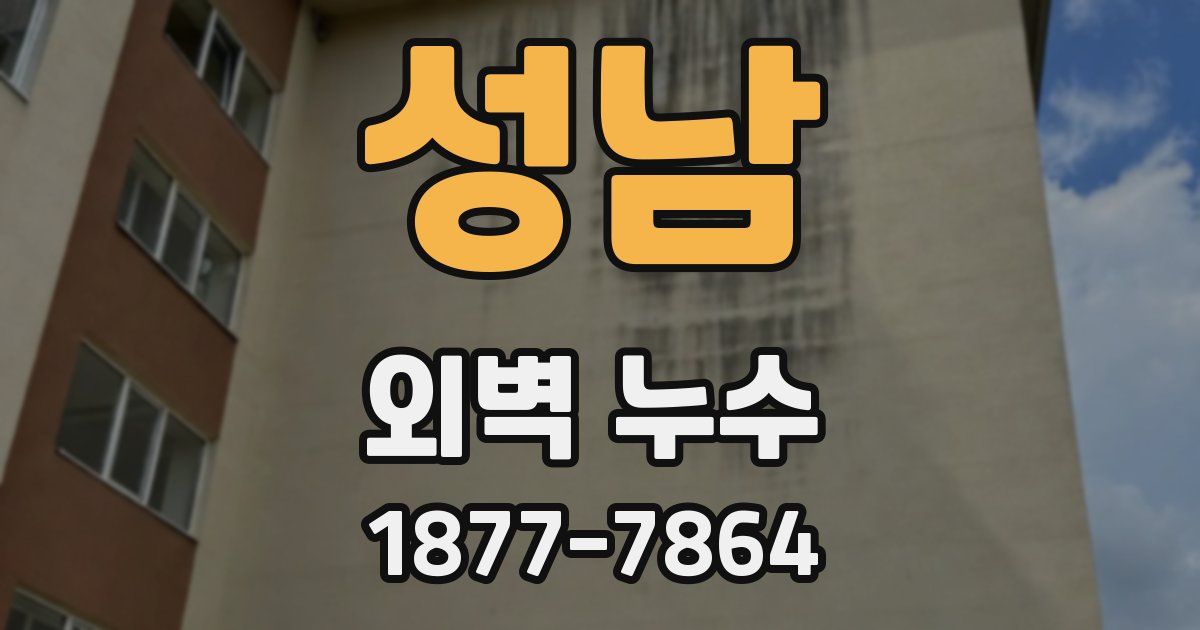 성남 외벽 누수