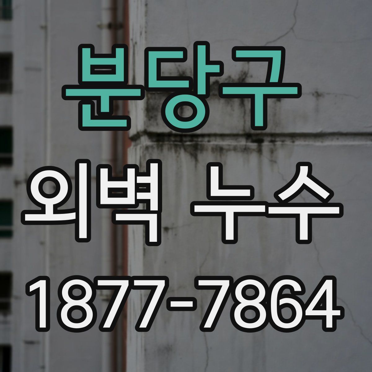 분당구 외벽 누수