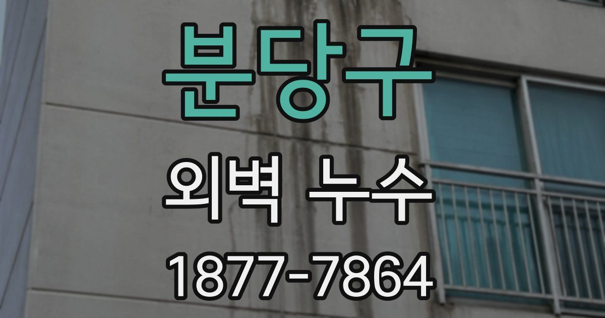 분당구 외벽 누수