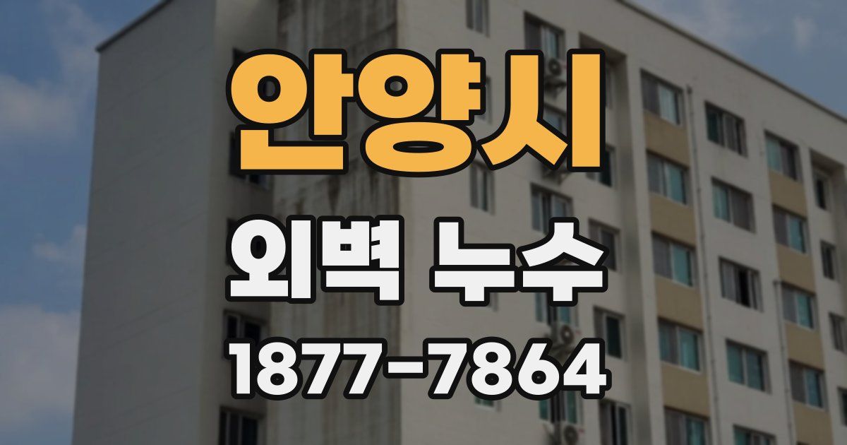 안양시 외벽 누수