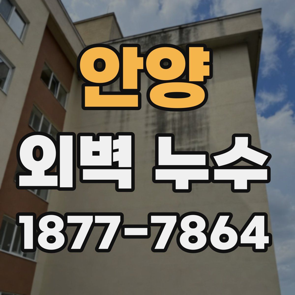 안양 외벽 누수
