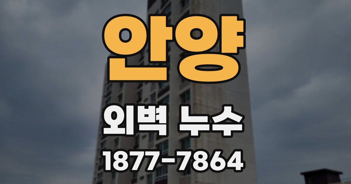 안양 외벽 누수
