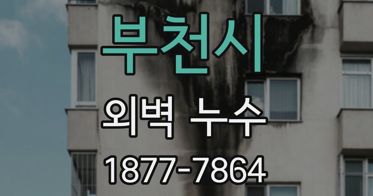 부천시 외벽 누수