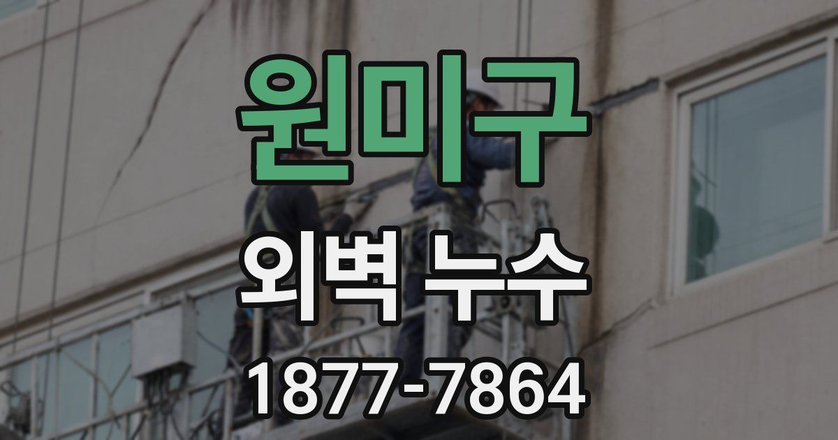원미구 외벽 누수