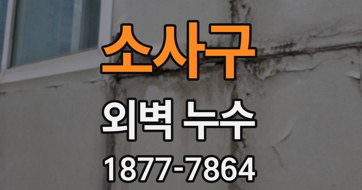 소사구 외벽 누수