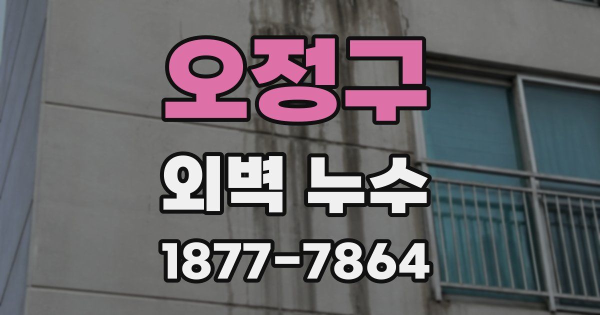 오정구 외벽 누수