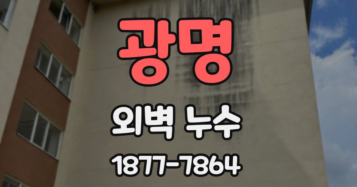 광명 외벽 누수