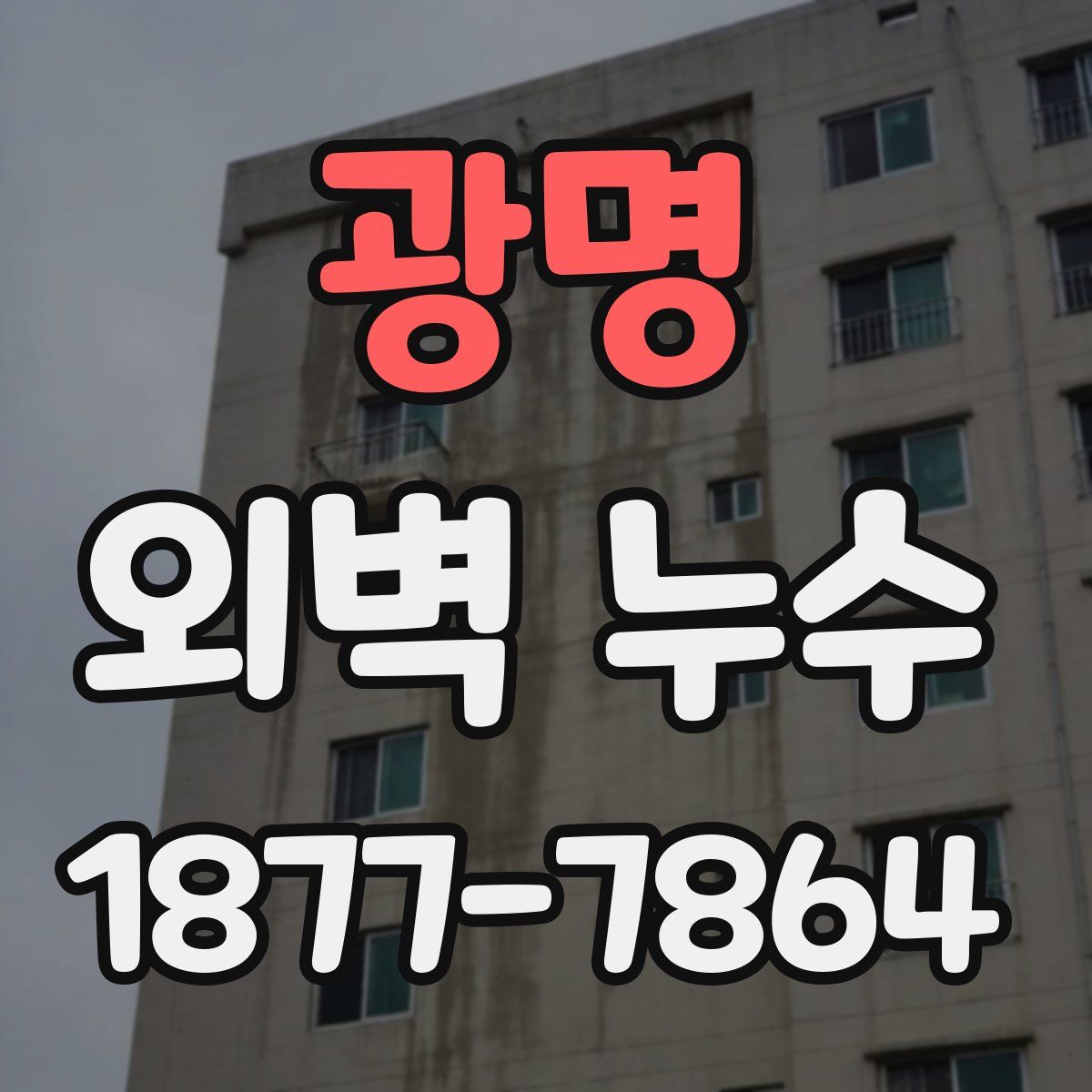 광명 외벽 누수