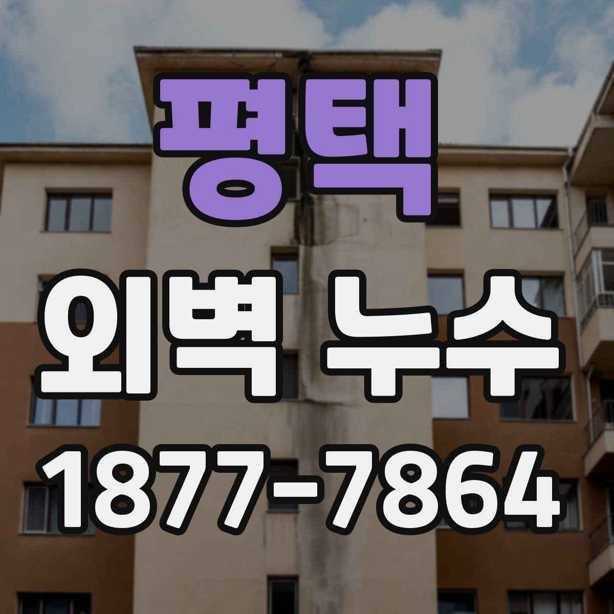 평택 외벽 누수 원인 파악이 먼저인 이유