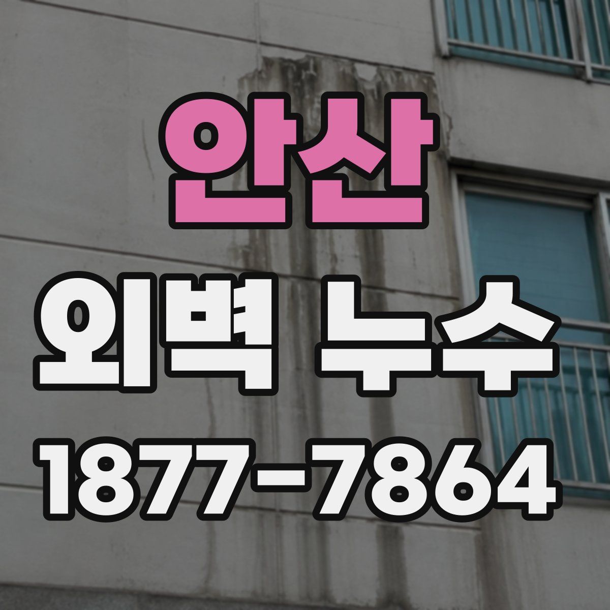 안산 외벽 누수